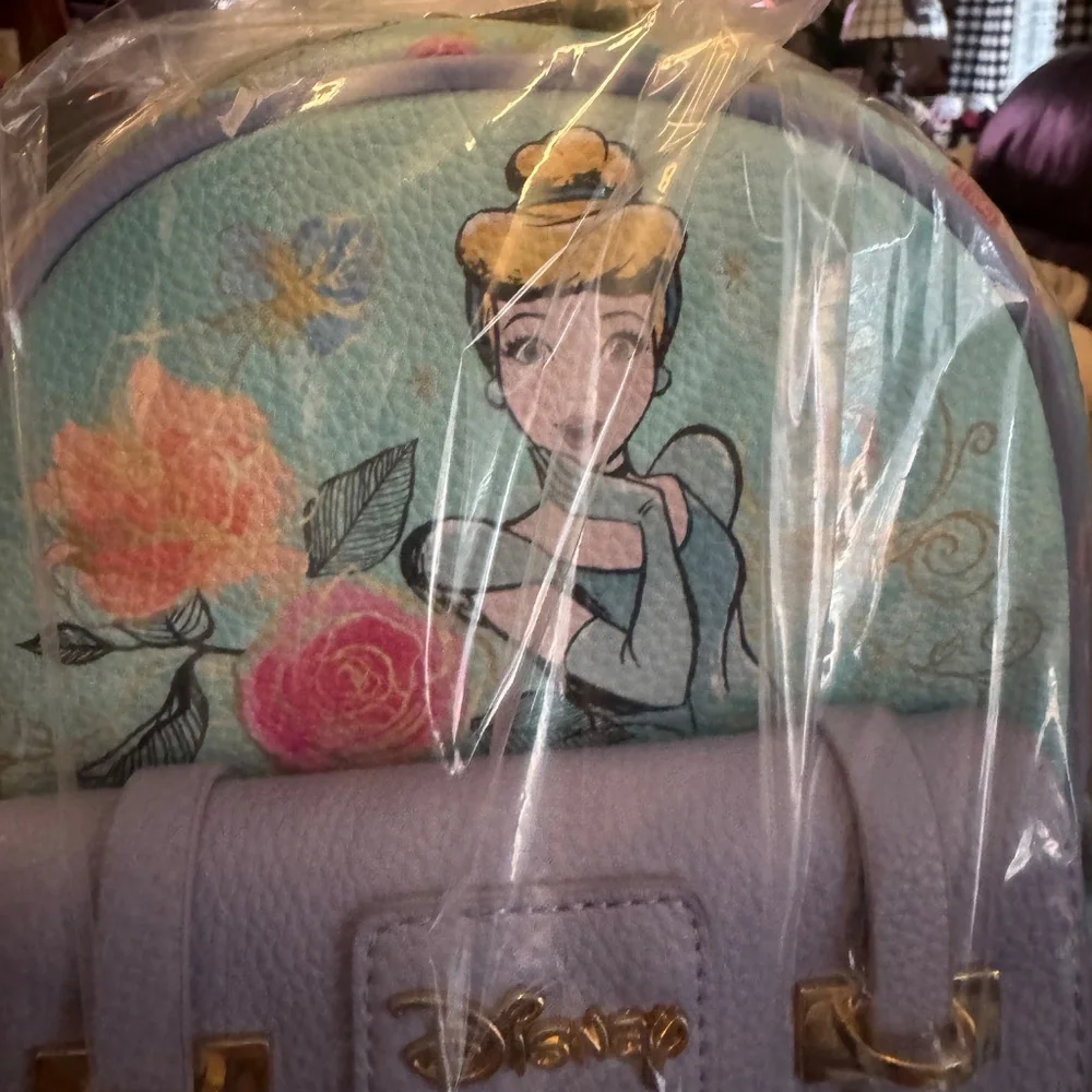 Disney Princess Wonda Backpack Girls Small Bag NWt
